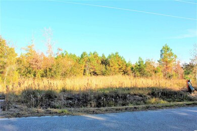 000 Samuel Rd unit 3769 E Highway 9 Bus, Loris, SC 29569 - photo 3