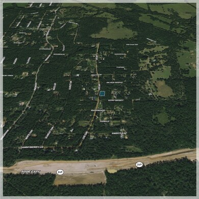 00 Live Oak Dr, Plantersville, TX 77363 - photo 6