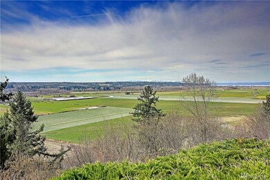 1320 Silver Springs Way, Stanwood, WA 98292 - photo 3