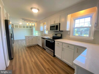 10162 Locust St, Laurel, DE 19956 - photo 6