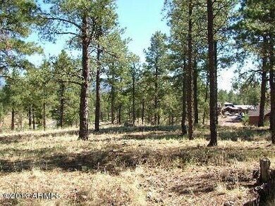 Lot 60