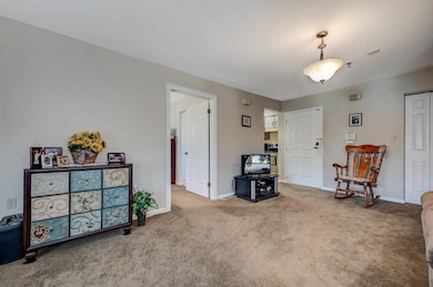 3 Village Cir unit 302, Stroudsburg, PA 18360 - photo 7