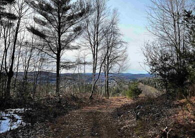 00 Parker Ave, St. Johnsbury, VT 05819 - photo 2