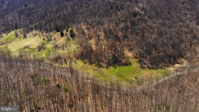 0 Pointer Ridge Rd unit VARP2000022, Washington, VA 22747 - photo 5