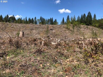 0 No Address unit 100 21604486, Colton, OR 97017 - photo 6