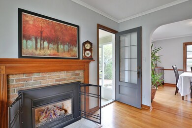 229-W-Schreyer-Gas log fireplace french