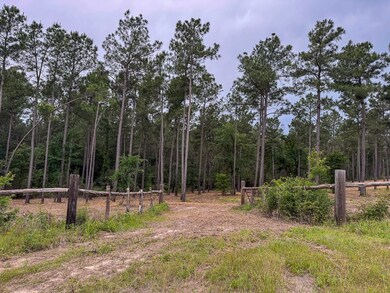 0 Guerrant Rd N unit 23220622, Huntsville, TX 77320 - photo 4