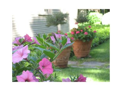 Yard/Garden.