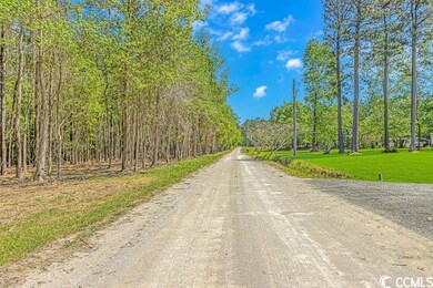 TBD Tranquil Rd unit Lot 1, Conway, SC 29527 - photo 4