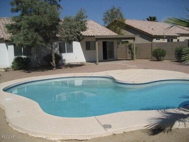 back yard