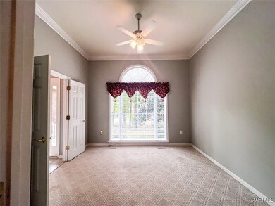 Carpeted spare room featuring a wealth of natural