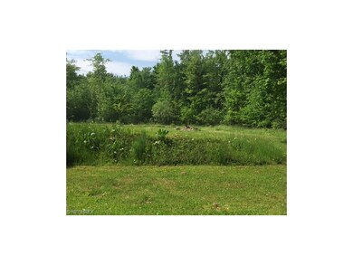 Nice Pond with blue gill