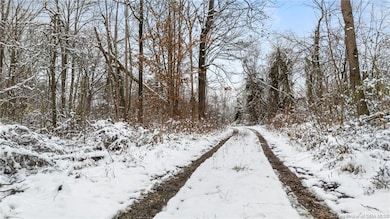 1357 N 3, Blocher, IN 47138 - photo 7