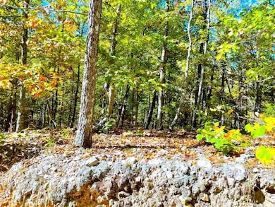 18 Longhorn Dr, Williford, AR 72482 - photo 3