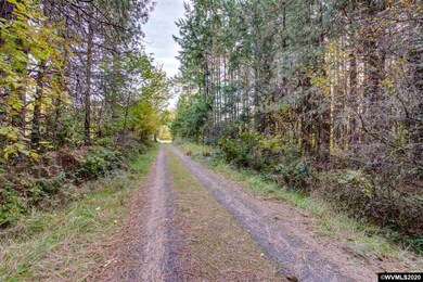 17604 S Fernwood Rd, Molalla, OR 97038 - photo 5