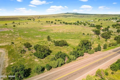 Parcel10520001K-Springerville-AZ-4