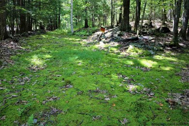 TBD Bone Hollow Rd, Accord, NY 12404 - photo 2