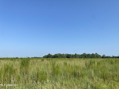 0 Highway 63 S, Lucedale, MS 39452 - photo 6