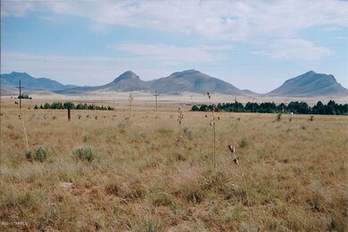 View to the Mustang Mountains (West)