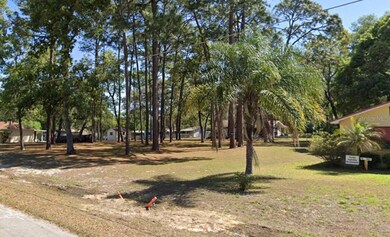 unlisted-address, Silver Springs, FL 34488 - photo 2