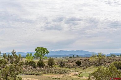 12888 Road 22, Cortez, CO 81321 - photo 3