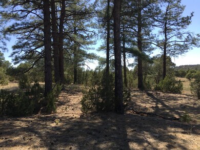 0 Linden unit 219720, Show Low, AZ 85901 - photo 3