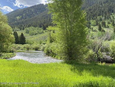 backyard to creek view