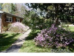 Beautiful Shrubs