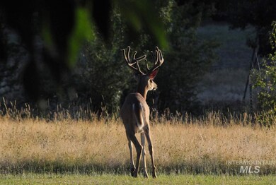 6174 Highway 12, Kooskia, ID 83539 - photo 3