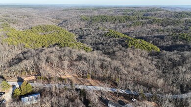 DJI_20250128160343_0042_D