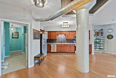 110 19th St unit 313, Rock Island, IL 61201 - photo 4