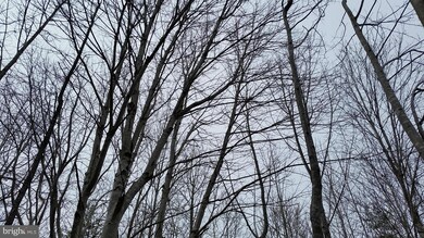 0 Vawter Corner Rd unit 1000545311, Louisa, VA 23093 - photo 6