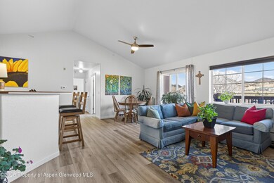 433 River View Dr unit 1605, New Castle, CO 81647 - photo 3