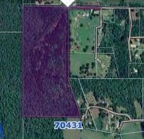Whole 44.6 Acres