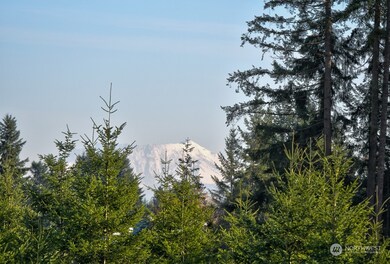 168 Racyn Ln, Winlock, WA 98596 - photo 6