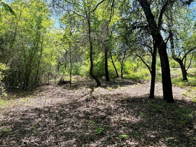 TBD Forest Trail Ct, Weatherford, TX 76085 - photo 4