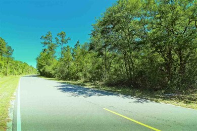 0 Bostic Pelt Rd unit 292682, Crawfordville, FL 32327 - photo 5