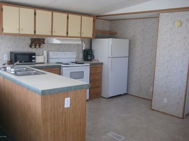 781 N Davidson Rd, Vail, AZ 85641 - photo 2