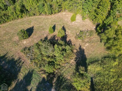 7209 U S Highway 412, Paragould, AR 72450 - photo 7