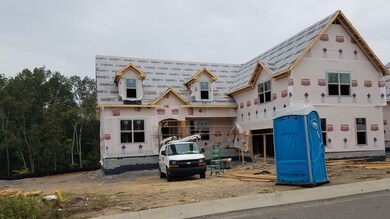 Keep watching as home progresses - many interior selections are still available!  (Sorry, but the portable toilet does not convey.  :))