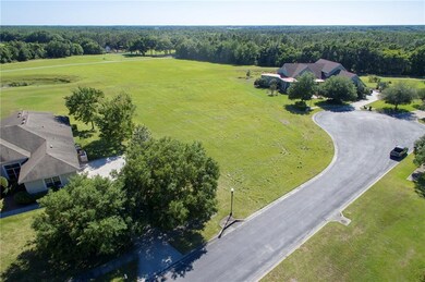 34050 Triple Crown Ct, Dade City, FL 33525 - photo 5