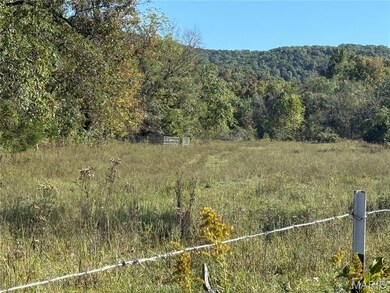 0 Cr 157 unit MIS25069294, Des Arc, MO 63636 - photo 5