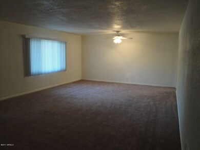 Huge Living Room & Dining Area