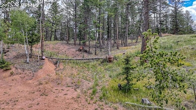 18 Falcon Cir, Florissant, CO 80816 - photo 6