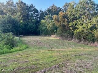 0 Red Oak Dr unit 4087759, Lucedale, MS 39452 - photo 5