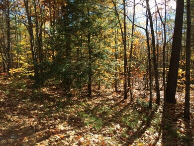 20.3 County Rd, Acton, ME 04001 - photo 7