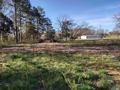 .25 acres Lemons Rd, Grant, AL 35747 - photo 3