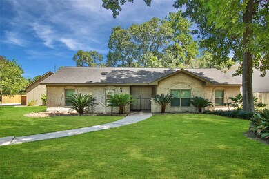 Front yard has lots of area if you want to add gardens.