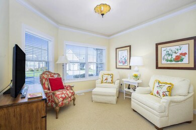 NDP_DNGs_57