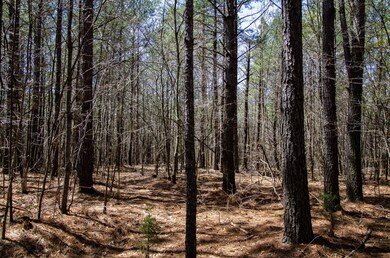 0 Country Side Ln Lot #51 unit RTC2424319, Spencer, TN 38585 - photo 2